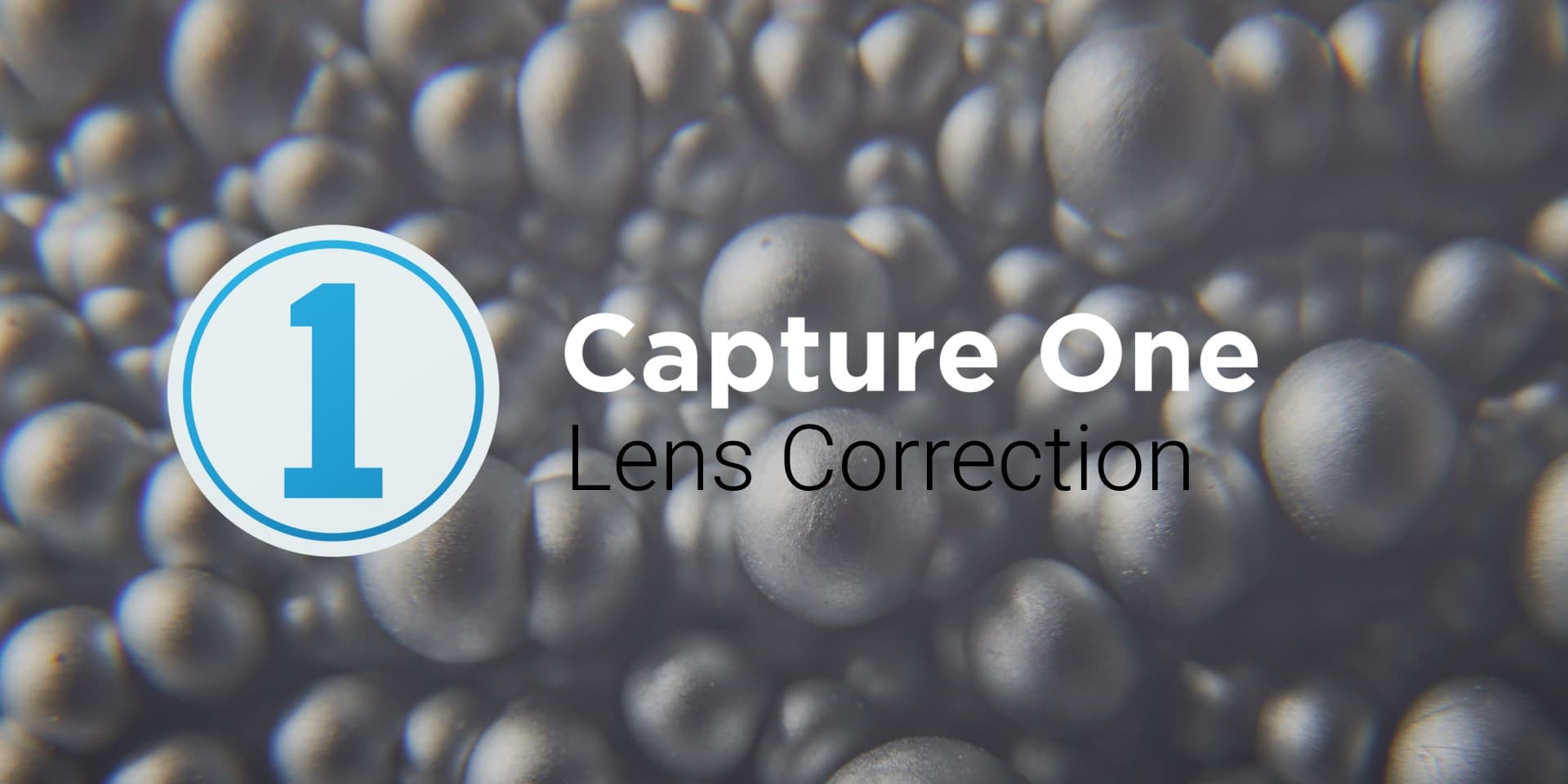 Lens Correction in Capture One
